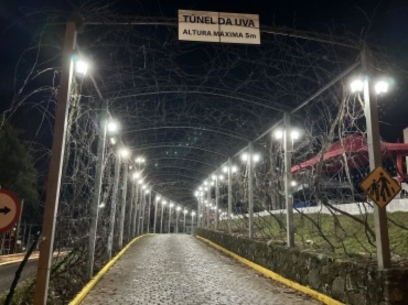 Foto Túnel da Uva, em Otávio Rocha, recebe iluminação noturna