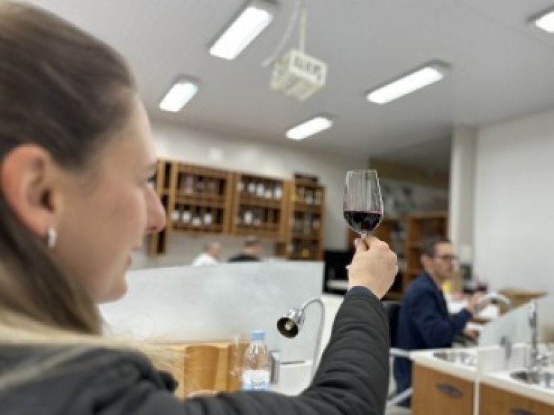 Foto Melhores Vinhos de Flores da Cunha serão conhecidos em 12 de setembro