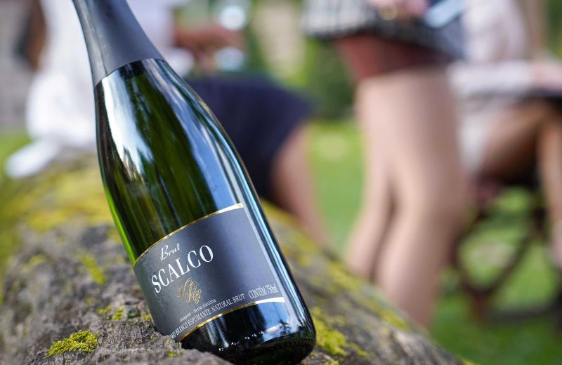Foto Rota Encosta do Vinho