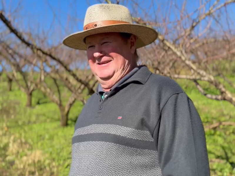 Foto de capa da notícia Enio Stocco será homenageado com o Certificado Agricultor Destaque 2025