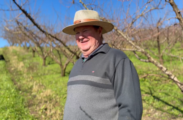 Foto de capa da notícia: Enio Stocco será homenageado com o Certificado Agricultor Destaque 2025