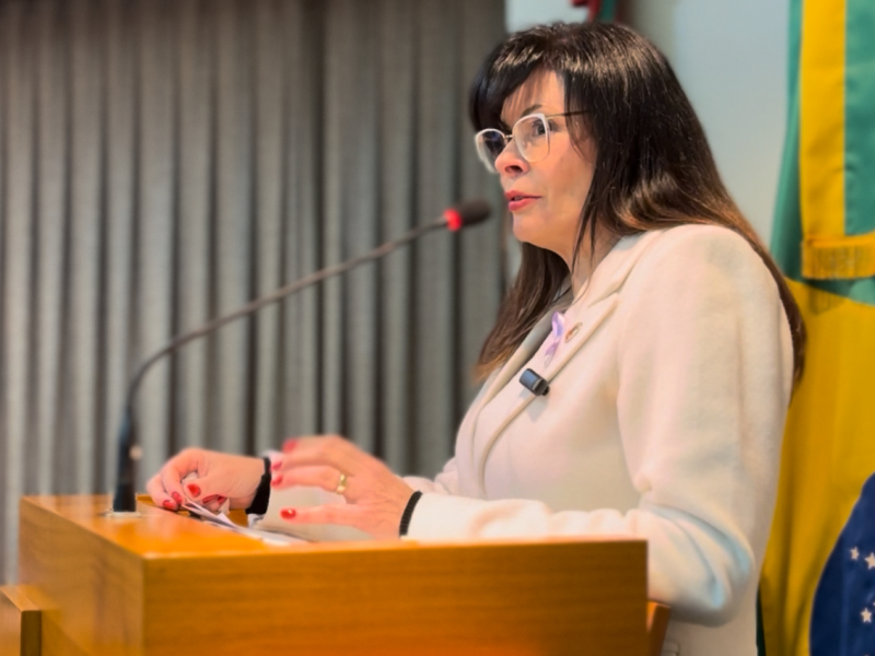 Foto de capa da notícia Vereadora Jaqueline Zanella propõe monitoramento por câmeras em escolas de Flores da Cunha