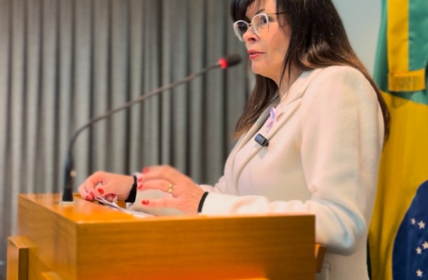 Foto de capa da notícia: Vereadora Jaqueline Zanella propõe monitoramento por câmeras em escolas de Flores da Cunha