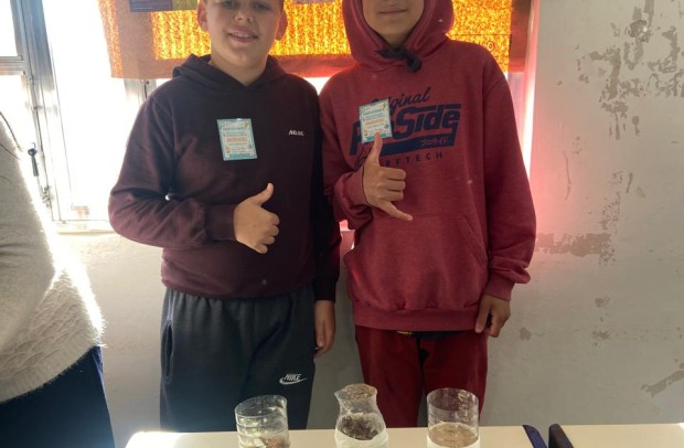 E.M.E.F. Tobias da Silva