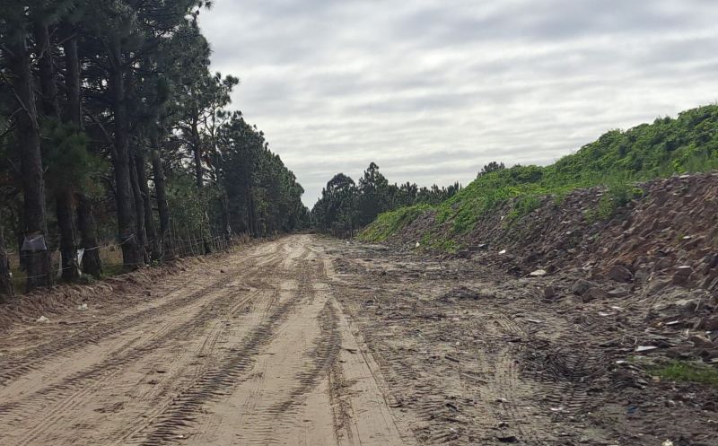 Foto de capa da notícia: SMOU alerta sobre descarte indevido em área em recuperação ambiental