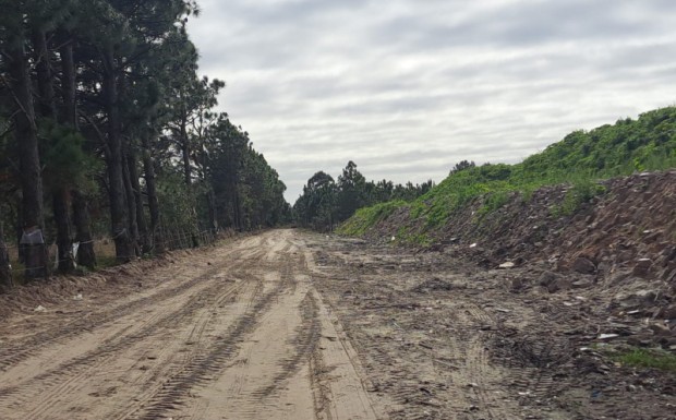 Foto de capa da notícia: SMOU alerta sobre descarte indevido em área em recuperação ambiental