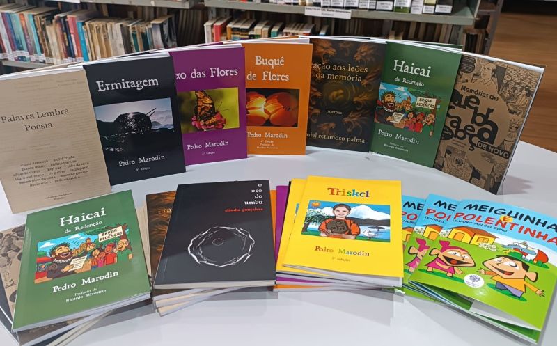 Foto de capa da notícia: Biblioteca Pública recebe novos livros