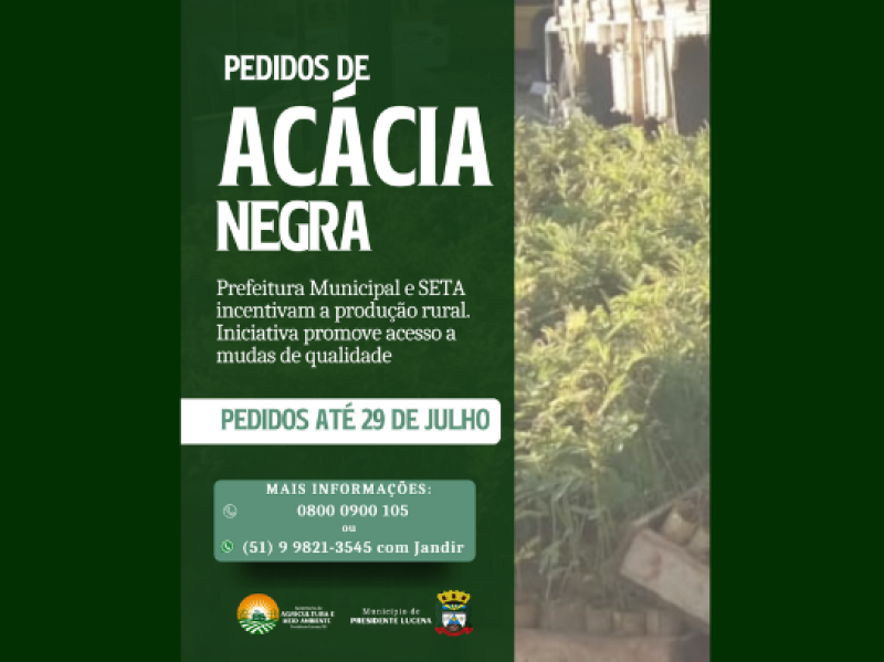 Foto da Notícia Prefeitura Municipal e SETA promovem acesso a mudas de Acácia Negra