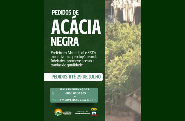 Foto de capa da notícia: Prefeitura Municipal e SETA promovem acesso a mudas de Acácia Negra