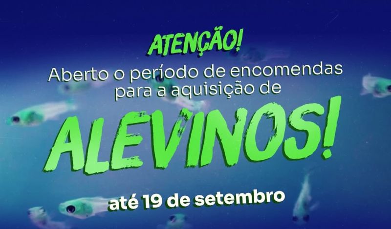Foto de capa da notícia: Prefeitura intermedia encomendas de alevinos para produtores de São Gabriel