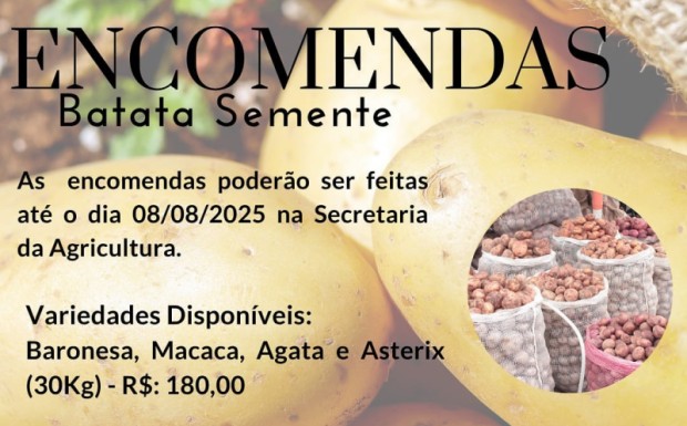 Foto de capa da notícia: ENCOMENDA DE BATATA SEMENTE