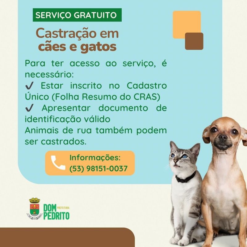Foto de capa da notícia: Cuidar é também castrar!