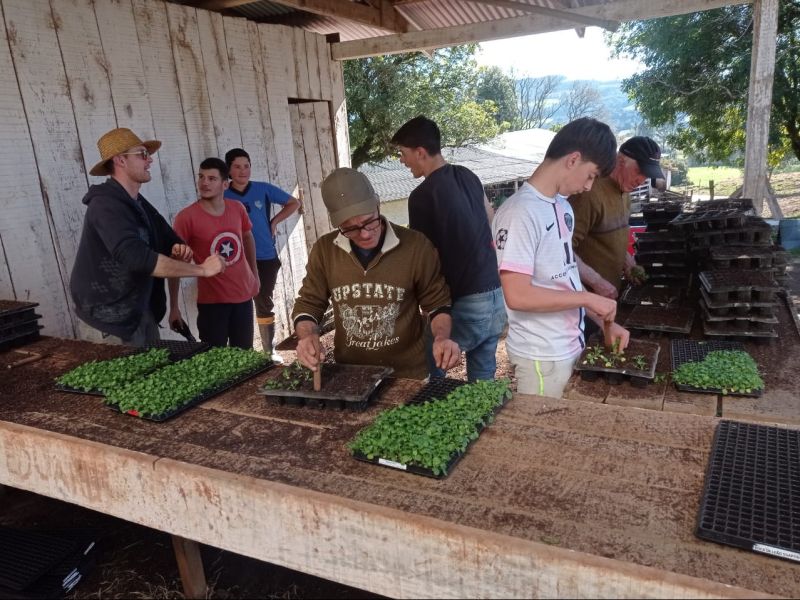 Escola Agrícola Otávio Gheller cultiva flores de inverno para embelezar a cidade