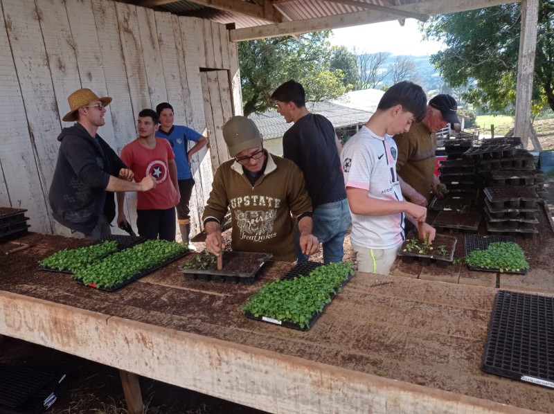 Escola Agrícola Otávio Gheller cultiva flores de inverno para embelezar a cidade