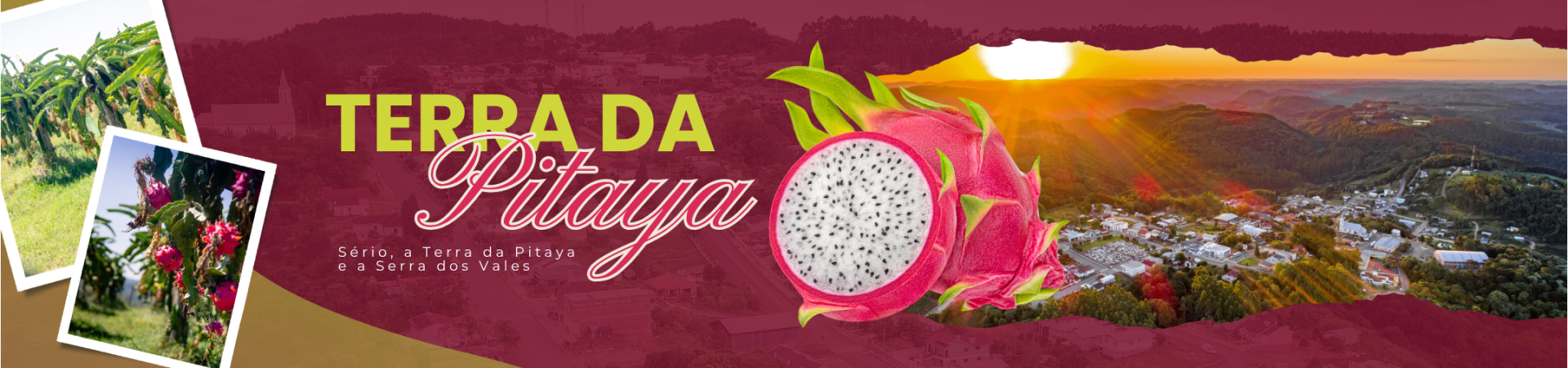 Terra da Pitaya