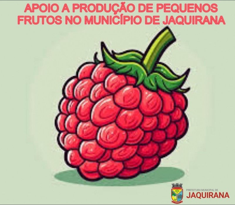 Foto de capa O Projeto de Lei que INSTITUI O PROGRAMA DE INCENTIVO E APOIO À PRODUÇÃO DE PEQUENOS FRUTOS NO MUNICÍPIO DE JAQUIRANA!&#127826;