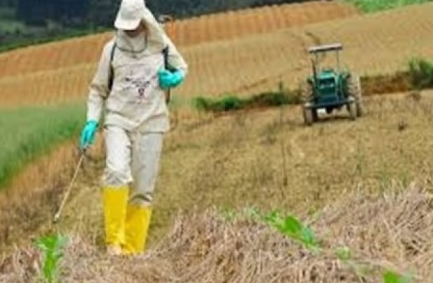 Palestra sobre saúde do trabalhador rural