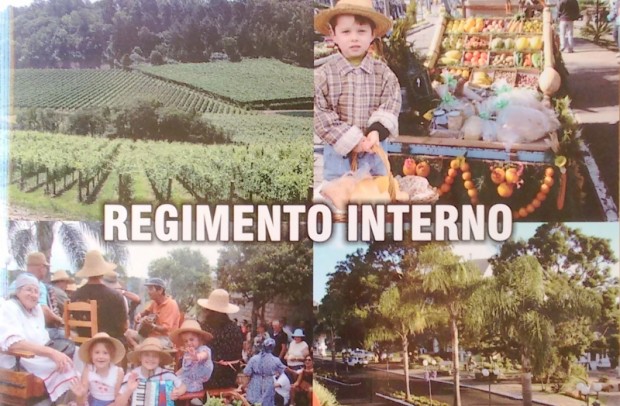 Regimento Interno 01