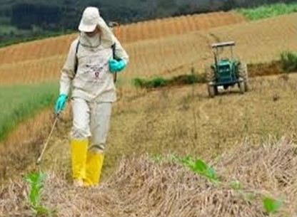 Foto de capa da notícia: Palestra sobre Saúde do Trabalhador Rural