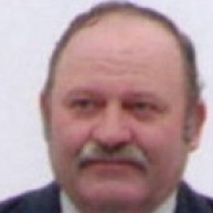 Foto do Vereador(a) Ademar Menegat