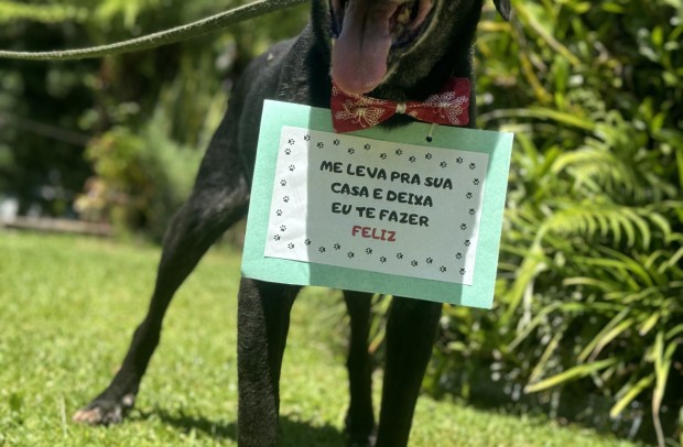 Pretinho