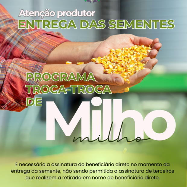Foto de capa da notícia: Produtores de Ipê podem retirar sementes do Programa Troca-Troca de Milho